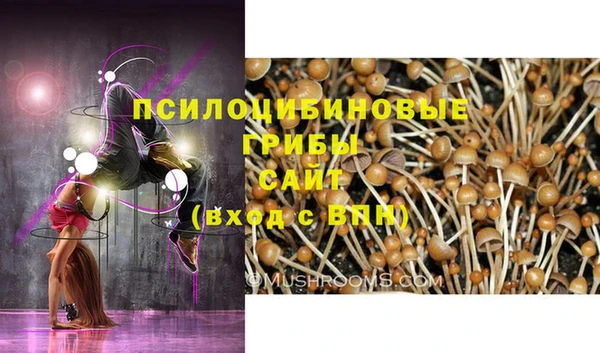 молекула духа Армянск